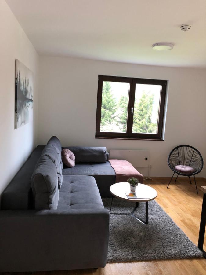 Vila Irina Kopaonik - Apartman Jovana Exterior foto