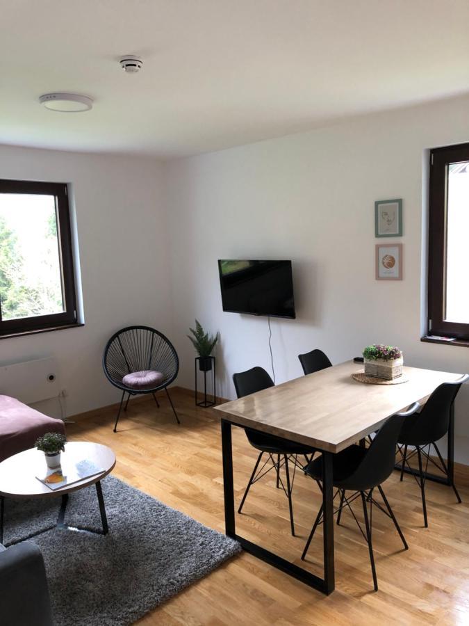 Vila Irina Kopaonik - Apartman Jovana Exterior foto